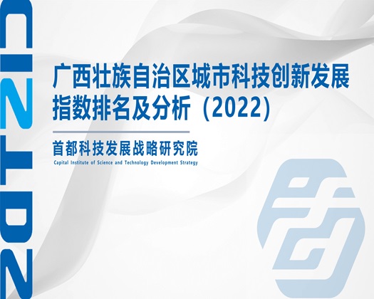 黄色视频东北老年妇女性爱教学故事【成果发布】广西壮族自治区城市科技创新发展指数排名及分析（2022）